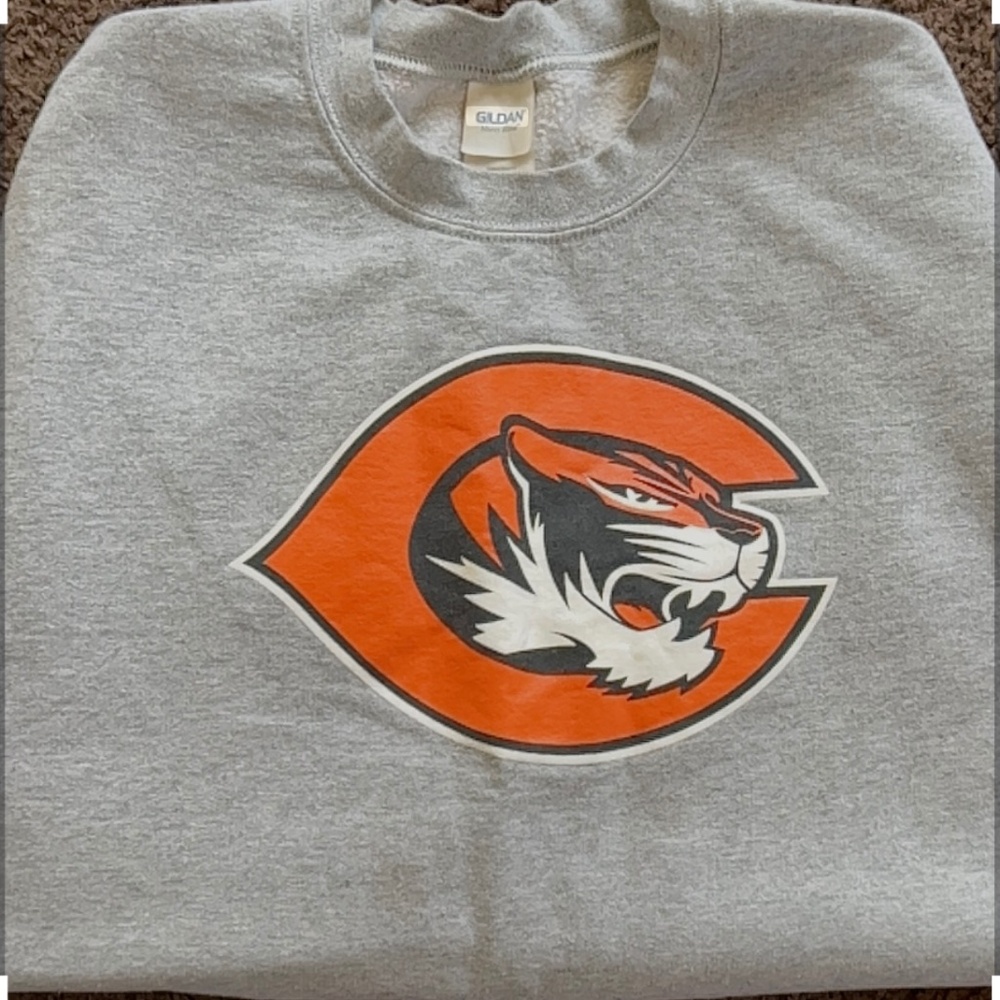 Tiger sweatshirt